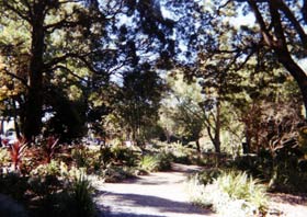 Odd Jobs Landscaping