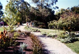 Odd Jobs Landscaping